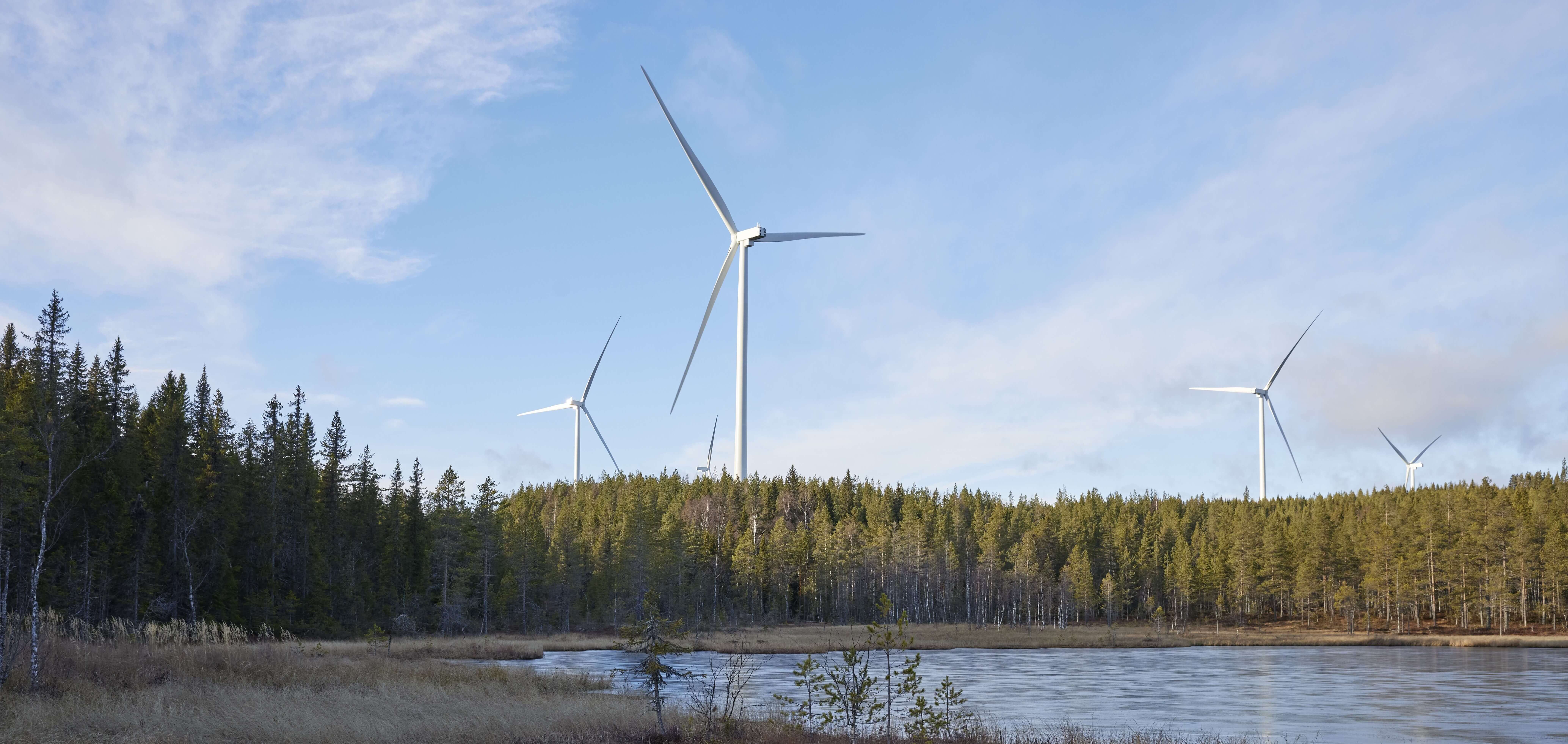 Finnåberget Vindpark illustrerade med vindkraftverk i skogslandskap